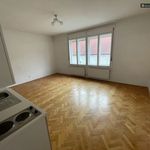 Rent 1 bedroom apartment of 39 m² in Leoben
