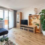 Rent 2 bedroom apartment of 45 m² in Nuremberg