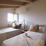 Affitto 5 camera appartamento di 90 m² in Cervia