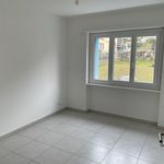 Rent 4 bedroom apartment in Arbedo-Castione