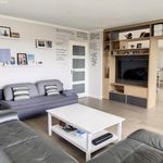 Rent 6 bedroom house of 250 m² in Serres-Castet