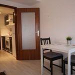 Rent 2 bedroom apartment of 26 m² in Karlsruhe