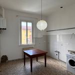 Affitto 4 camera appartamento di 75 m² in Pisa
