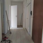 Rent 1 bedroom apartment in Vápenná