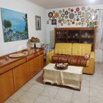 Rent 1 bedroom house of 50 m² in Anzio