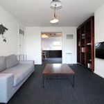 Rent 1 bedroom house of 100 m² in Vorst