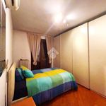 Rent 4 bedroom house of 210 m² in Segrate
