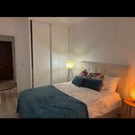 Rent 1 bedroom apartment of 56 m² in Bairro Comendador Joaquim Matias