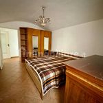 Rent 2 bedroom apartment of 56 m² in Torino
