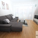 Rent 1 bedroom apartment of 42 m² in Nuremberg
