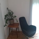 Rent 5 bedroom apartment in Wrocław