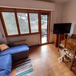 Affitto 4 camera appartamento di 82 m² in Rosignano Marittimo
