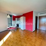 Rent 1 bedroom apartment of 27 m² in Rho