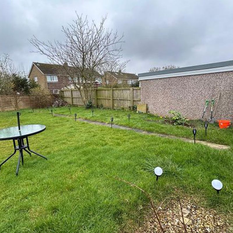 Semi-detached bungalow to rent in Overdale, Eastfield, Scarborough YO11 Cayton
