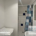 Rent 2 bedroom apartment of 57 m² in Lyon 7ème