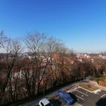 Rent 2 bedroom apartment of 69 m² in Steyr