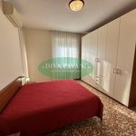 Rent 2 bedroom apartment of 66 m² in San Donato Milanese