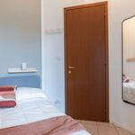 Affitto 3 camera appartamento in Torino