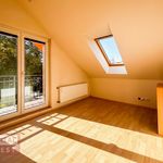 Pronajměte si 1 ložnic/e dům o rozloze 101 m² v Kroměříž