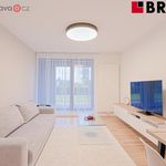 Rent 3 bedroom apartment of 71 m² in Brno