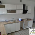 Rent 3 bedroom apartment of 92 m² in Zabrze