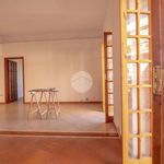 Rent 4 bedroom apartment of 107 m² in Marcellina