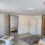 Pronajměte si 1 ložnic/e dům o rozloze 169 m² v Karlovy Vary