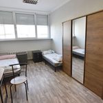 Rent 1 bedroom apartment of 15 m² in Zielona Góra
