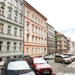 Rent 2 bedroom apartment of 64 m² in Praha