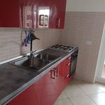 Rent 4 bedroom apartment of 80 m² in Ladispoli