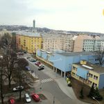 Rent 1 bedroom apartment of 30 m² in Ostrava