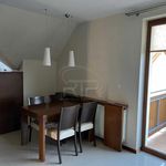 Rent 4 bedroom apartment of 105 m² in Siechnice