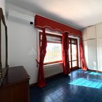 Rent 11 bedroom house of 215 m² in Fiumicino