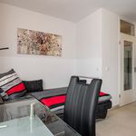 Rent 1 bedroom apartment of 27 m² in München
