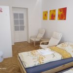 Rent a room of 117 m² in Praha