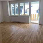 Rent 2 bedroom apartment of 57 m² in Birkfeld