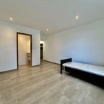 Rent 1 bedroom apartment in Virton