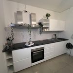 Rent 13 bedroom apartment in Trento