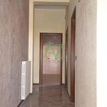 Rent 4 bedroom apartment of 100 m² in Cremona
