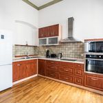 Rent 3 bedroom apartment of 160 m² in Plzeň
