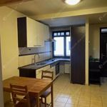Rent 3 bedroom apartment of 102 m² in Budapest