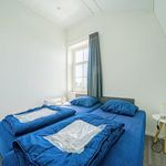 Rent 7 bedroom house in Uitdam