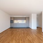 Miete 3 Schlafzimmer wohnung von 60 m² in Egerkingen