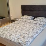 Rent 3 bedroom apartment of 80 m² in Poznan