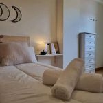 Alquilar 1 dormitorio apartamento en Oviedo