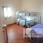 Rent 1 bedroom house of 30 m² in Pisa
