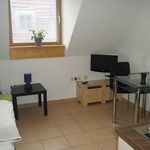 Rent 1 bedroom apartment of 17 m² in München