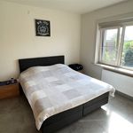 Huur 3 slaapkamer appartement van 117 m² in Ronse