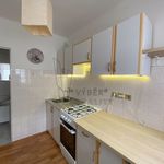 Rent 1 bedroom house of 100 m² in Praha