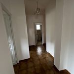Rent 2 bedroom apartment in Bastelicaccia - 20129 